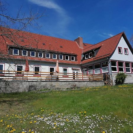 Villa Viriditas Elbingerode  Esterno foto