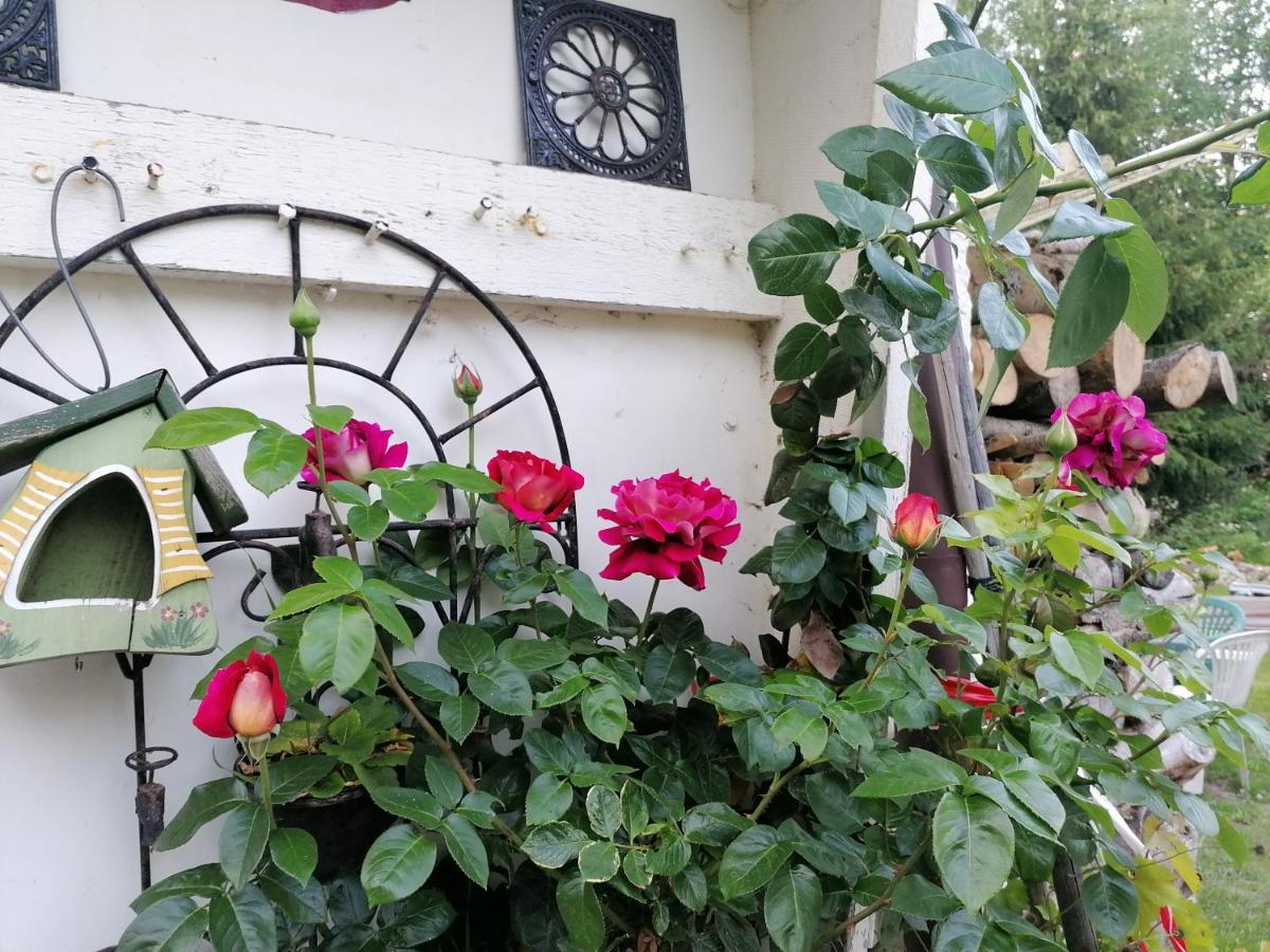 Villa Viriditas Elbingerode  Esterno foto