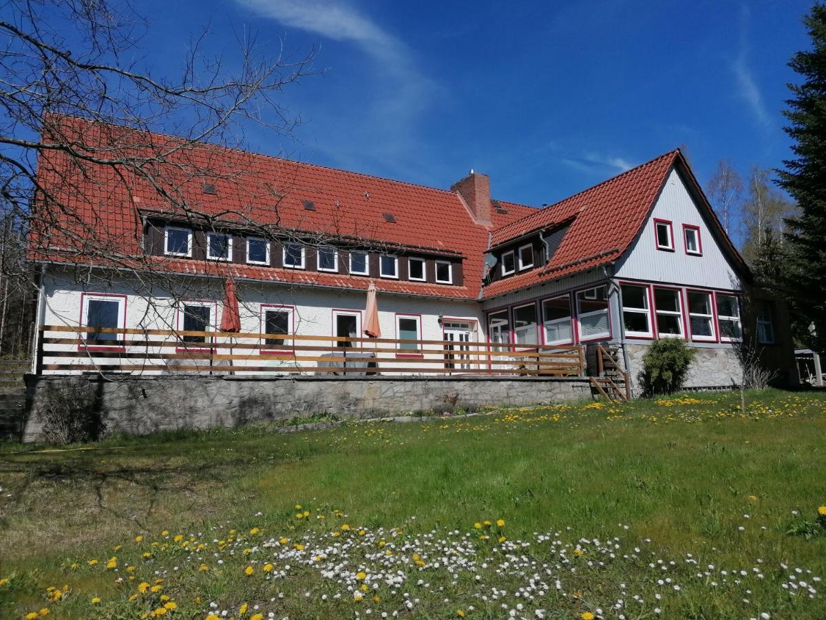 Villa Viriditas Elbingerode  Esterno foto